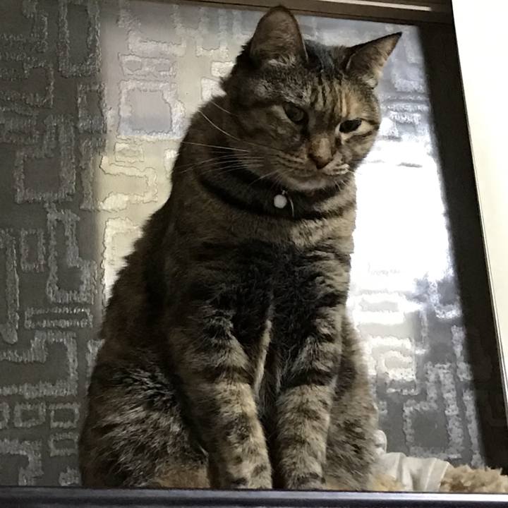 Ec335624 2680 4fb9 94c2 6b4cf5240277