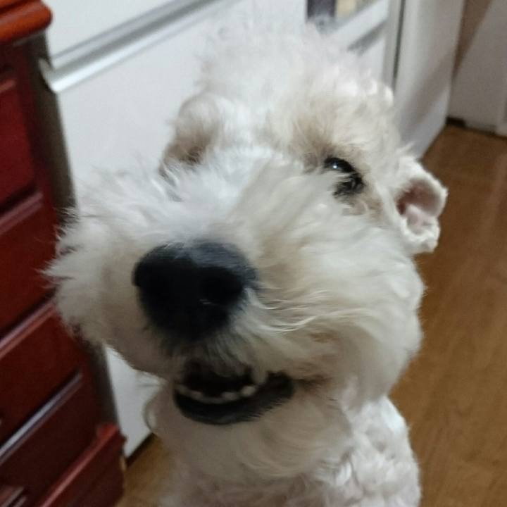 Ec335a1d a557 4b07 a45b d49509941c54