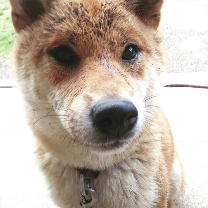 Ec33aeca 2b5f 4e1f 88d3 63fcd6b5f36e