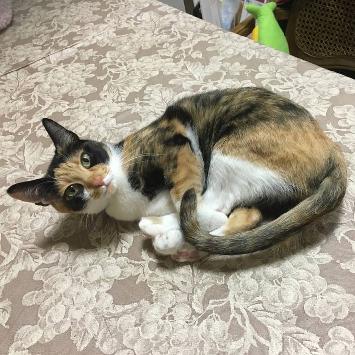 Ec33cb00 efff 4840 936a de11ac8fcfa3