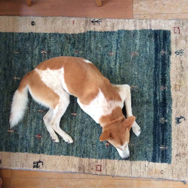 Ec33ee5c b63e 4282 b0b4 8f67259f3779