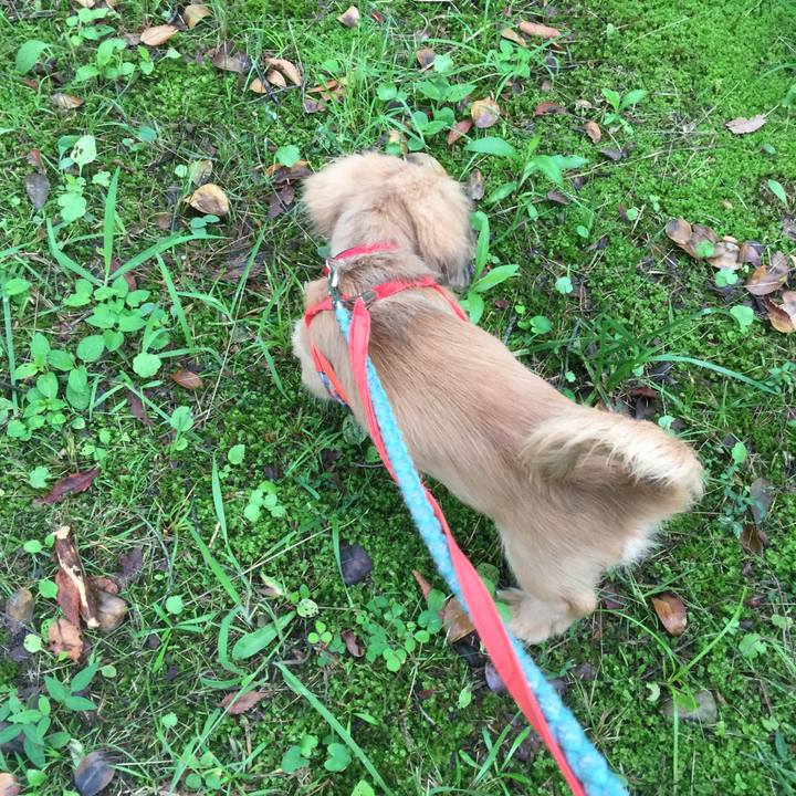 Ec3542fc cb1f 4824 a74e 4e0668d05674