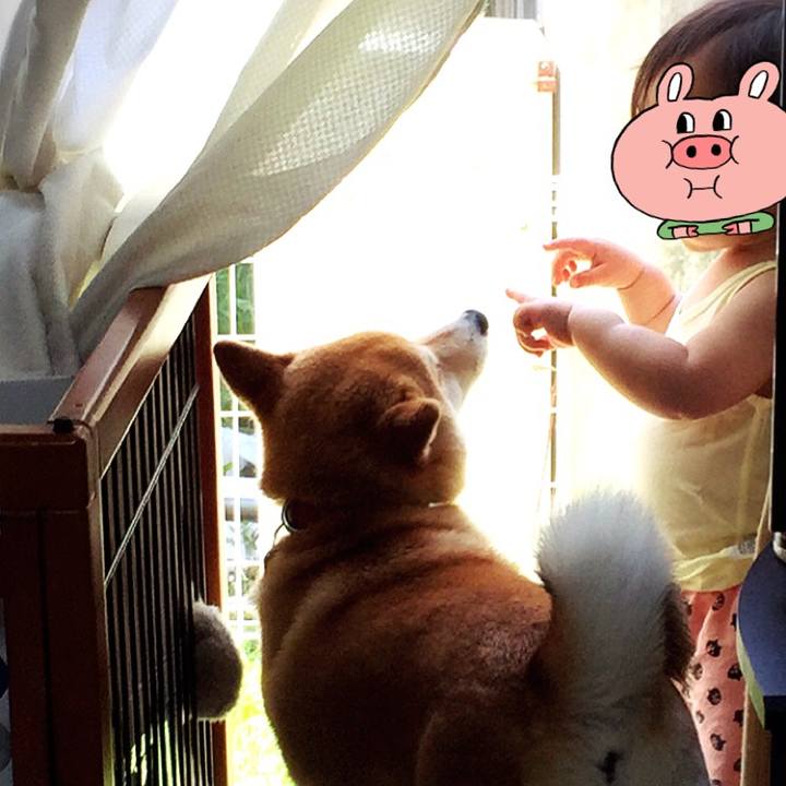 Ec35444a 9bef 426e 8bee 20ea8eaaed56