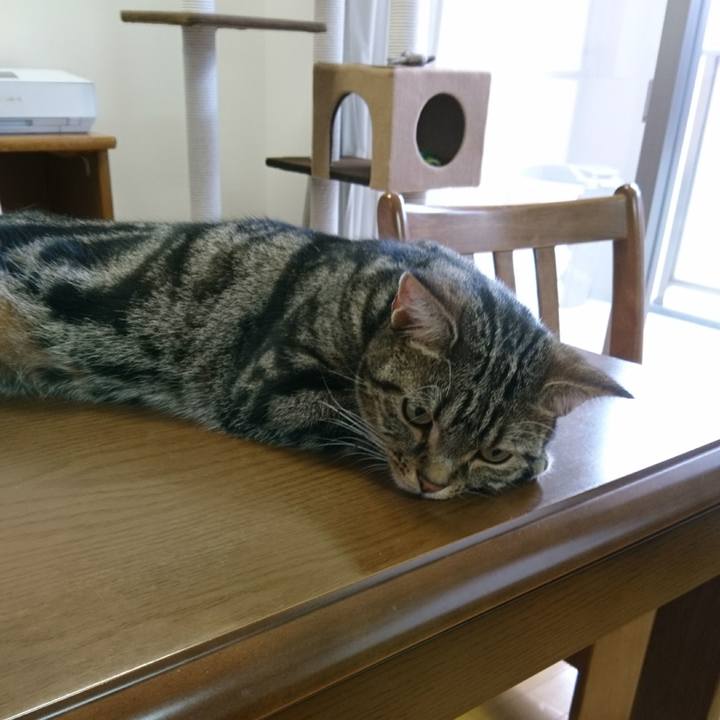 Ec358a32 d9ab 46f3 831b e982c35aee00