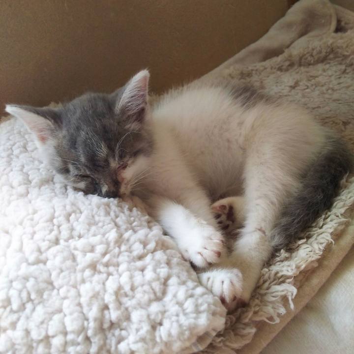 Ec36c8b5 7d73 475e a78c f88e86732c21