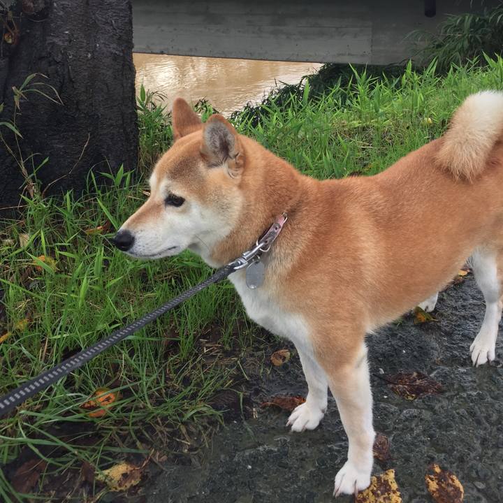 Ec370ac9 01fc 4fc8 b9db 43fecf860b8a