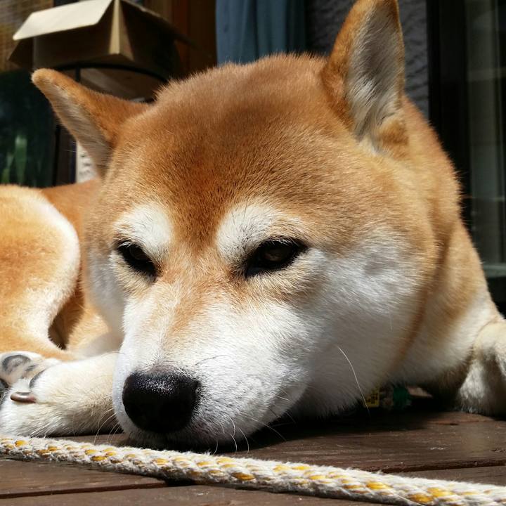 Ec375b46 1d15 41f7 8669 e555adf8078b