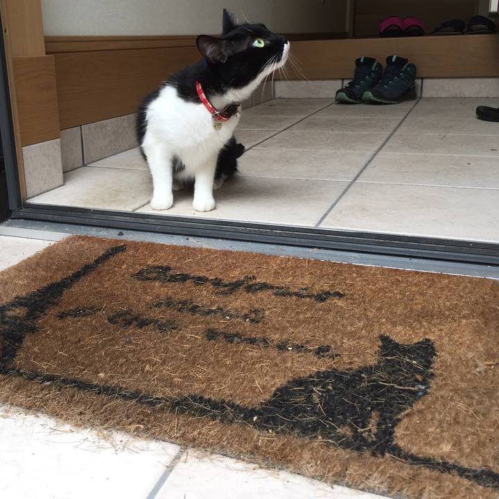 Ec37c5af 443b 4f0d 93b1 ee472405866d