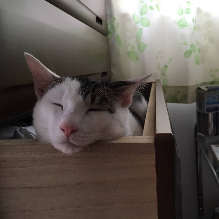 Ec391aef 4914 4ff7 af23 24dc04047954