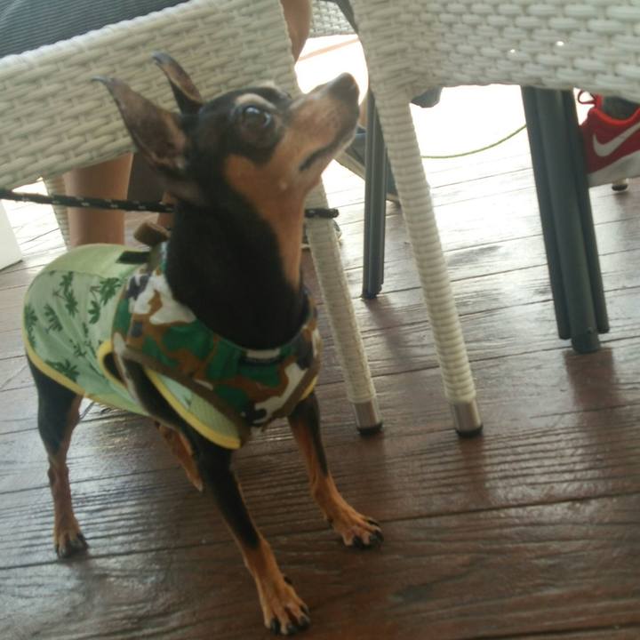 Ec393a8b be89 4c3d a0b6 e801694f754e