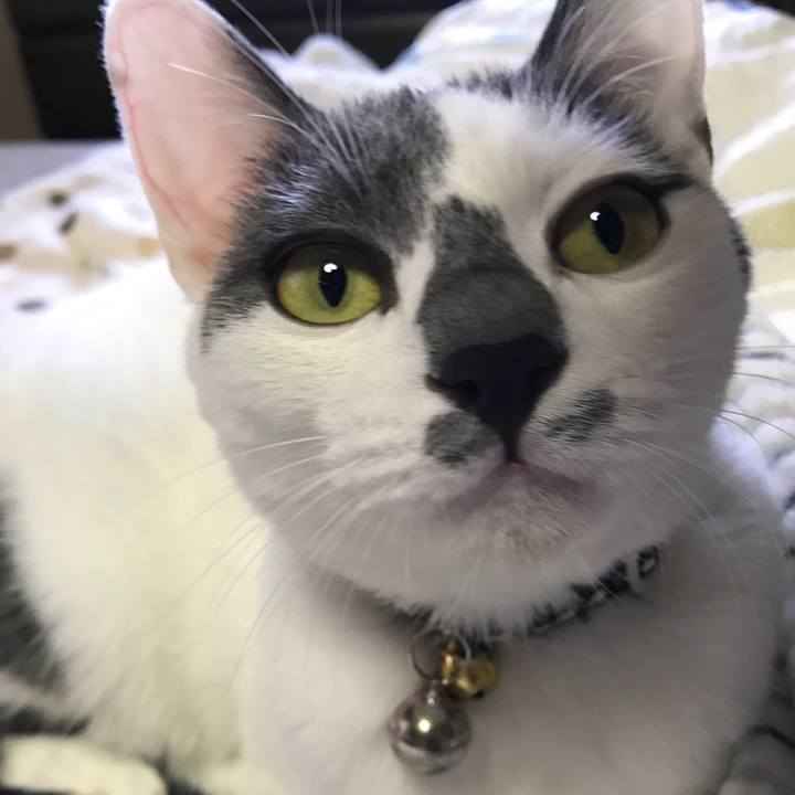 Ec39cec6 7e69 42f6 85fa b86da5ff5e90