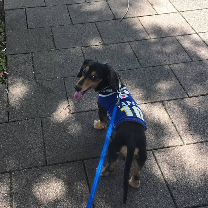 Ec3a75df a32a 426e aec9 82eceee1ee21