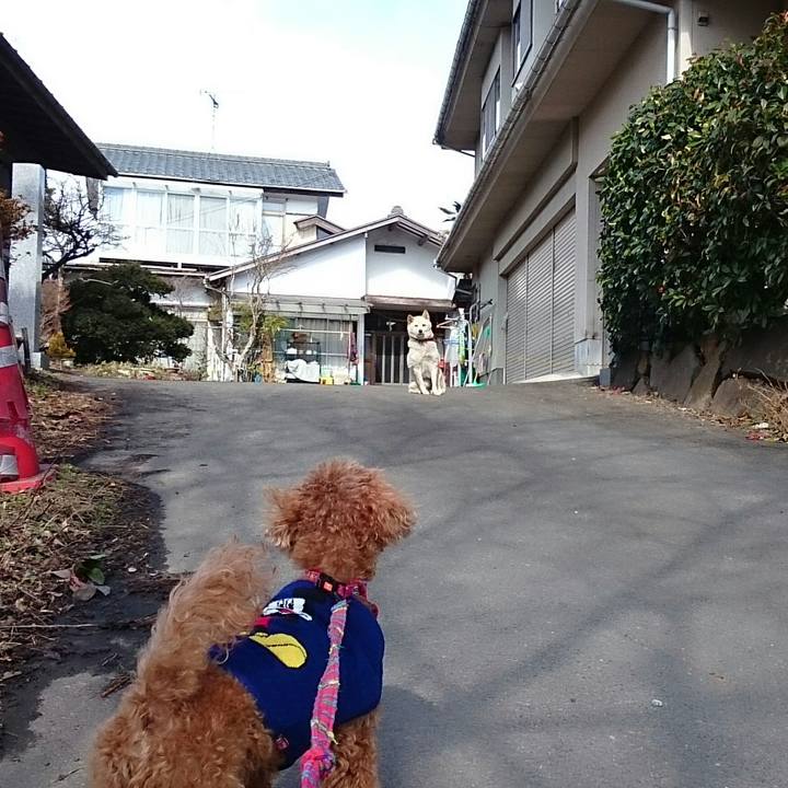 Ec3b10b7 d6a8 4fd2 acd7 7ccd4d98e50b