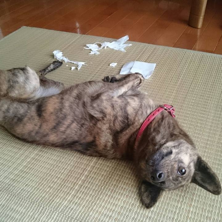 Ec3b75b2 4bcc 4662 83ff 3de414e42fc5