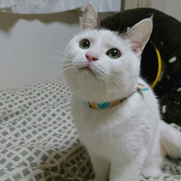 Ec3b97de f61c 455f bf73 d2bbdbc2d0ec