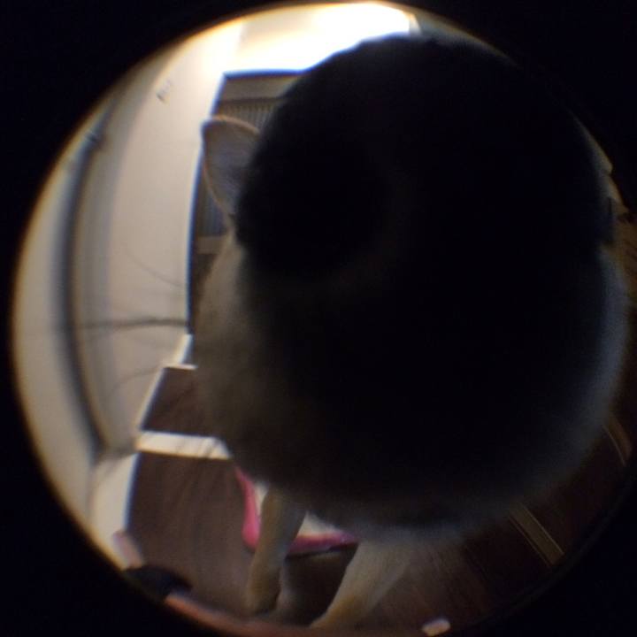 Ec3bada3 049d 4170 ab82 3218223dd8ac