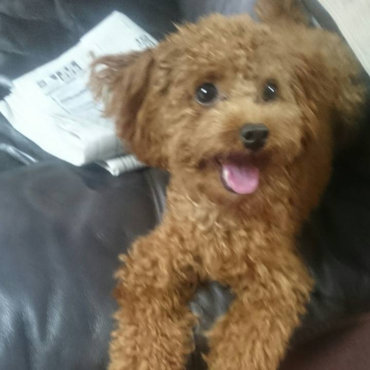 Ec3bde52 cd2c 47c2 937e dfcdb32c1b45