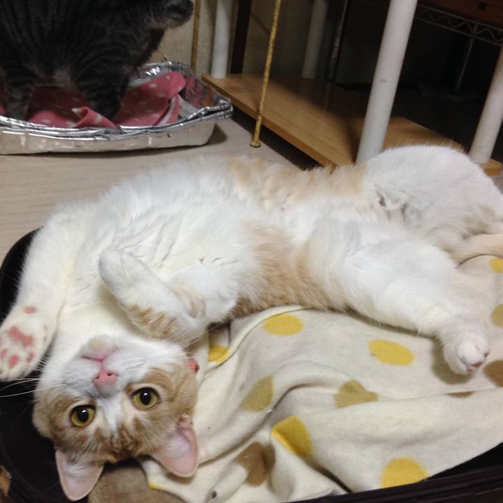 Ec3c1640 8339 40ab a3df e4e1497b084a