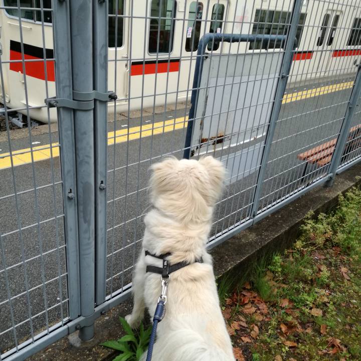 Ec3c4ce4 63dc 4ded b48b 73a6c9bfd811