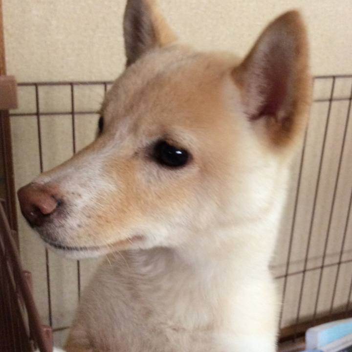 Ec3c6136 94c3 4d1d 91f7 320f68ae6930