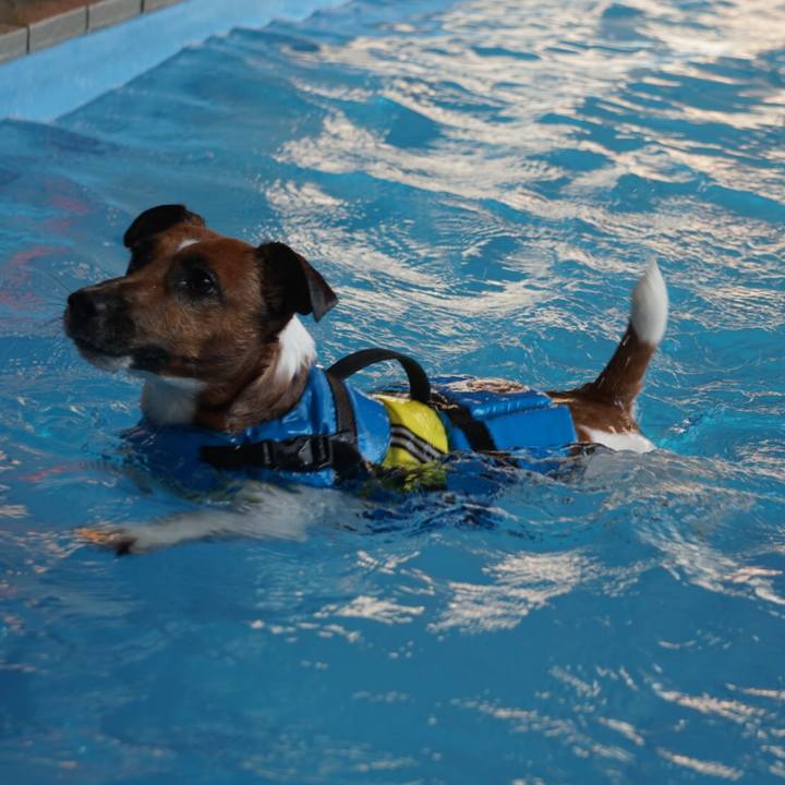 Ec3c95f8 3cbe 4c52 b504 d33c6d504f68