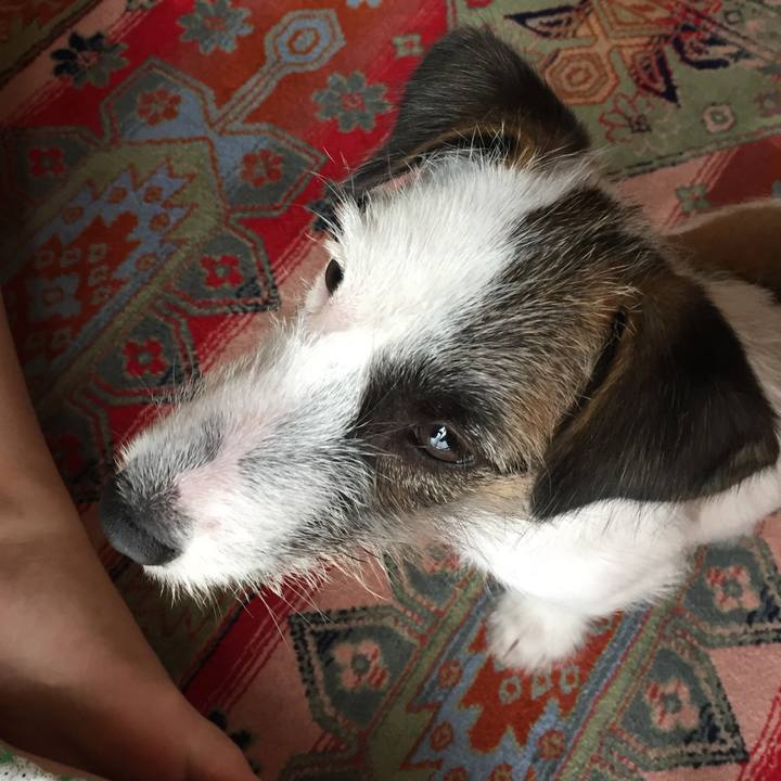 Ec3ca03d 0a91 45b1 96a8 309bf28632a1