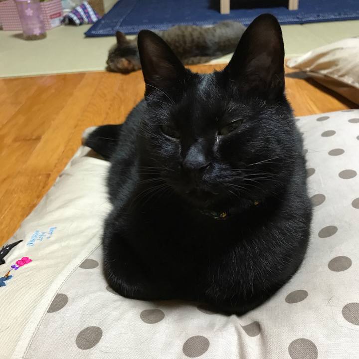 Ec3ccec8 2bde 4a4e ba07 7d67a3aa9bb1