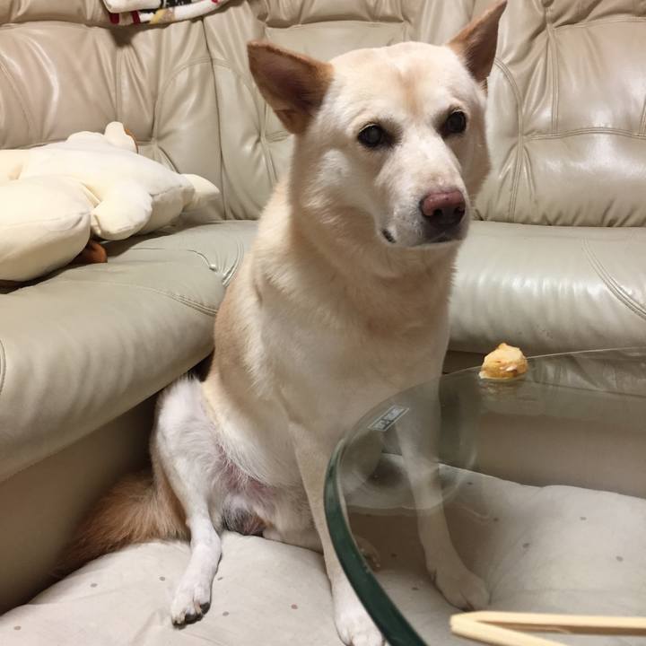 Ec3d3b63 2b3f 4ebc 98ca 3b9d25cca658