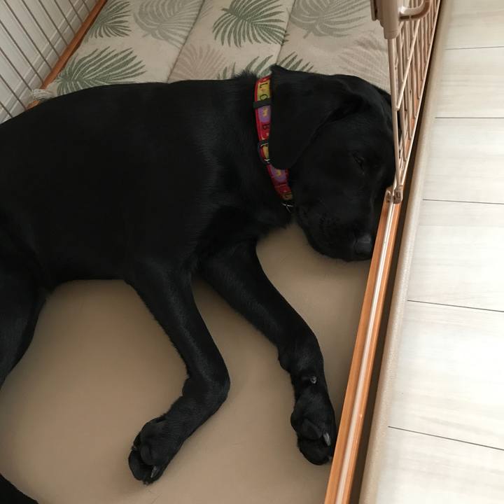 Ec3e4f5d 9bcd 4ede 8fb5 6fe61c8cc187