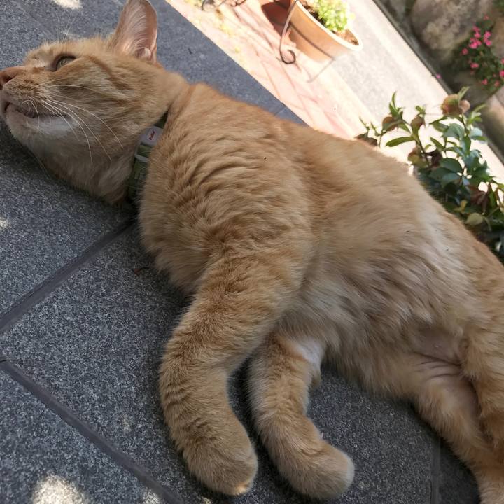 Ec3e5157 247f 41c3 8cc0 48d09064b01b