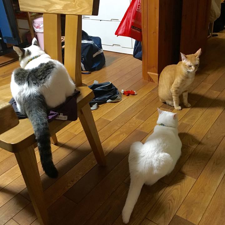 Ec3eb651 7fec 4fec 9b8b 9d3aa9b52c50