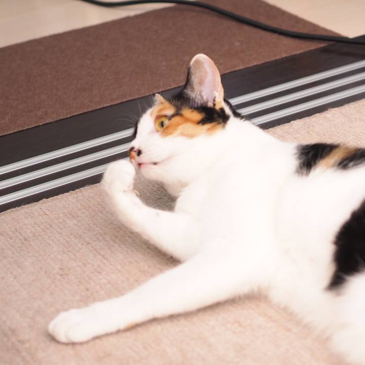 Ec3f8123 ca8e 4726 88d0 6bba6bc8cd8f