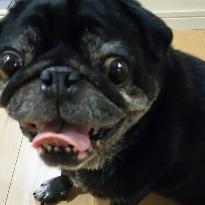 Ec3f9b15 5593 4133 b46a 7fc202287954