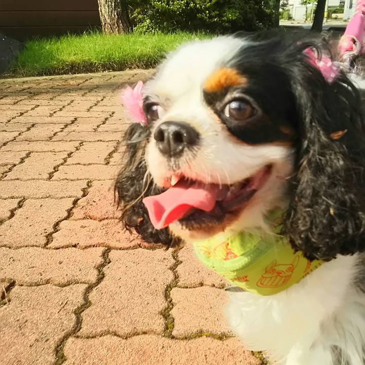 Ec3f9b89 fa43 4b16 b65c dc7c8f02df08