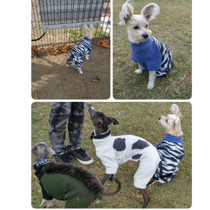 Ec3fa484 7250 4fb2 b626 d24a2b724477