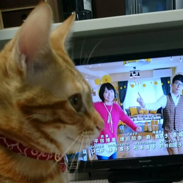 Ec3fbc27 8372 4836 bd9b 876b181c5ffc