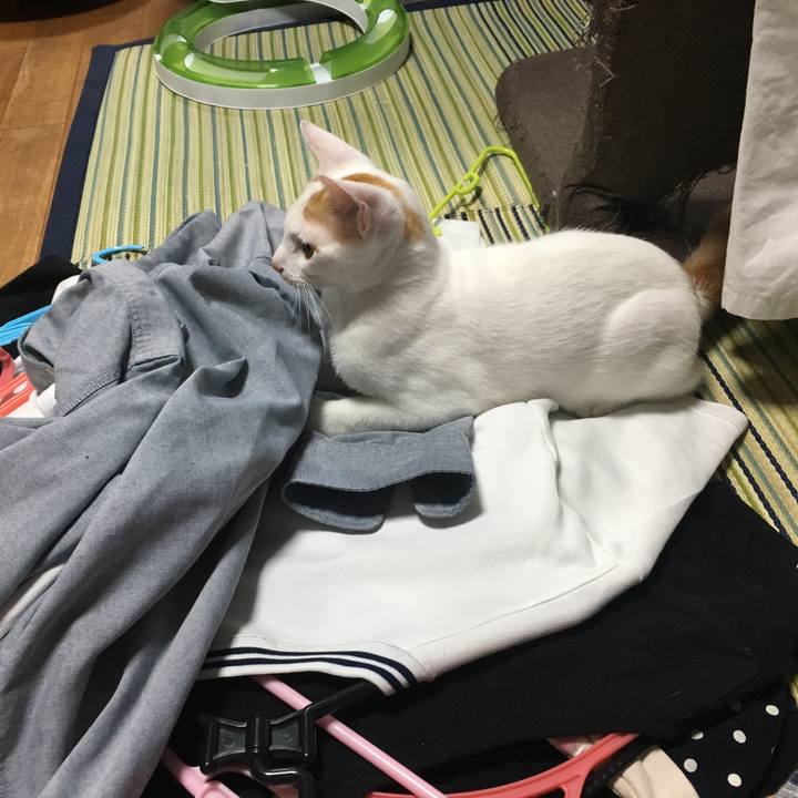 Ec4047a0 00d5 4e40 8e8a d863c7219924