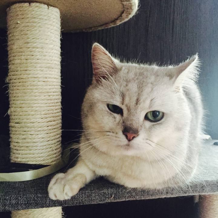 Ec405437 7329 4a54 8fcc 56878bf737aa