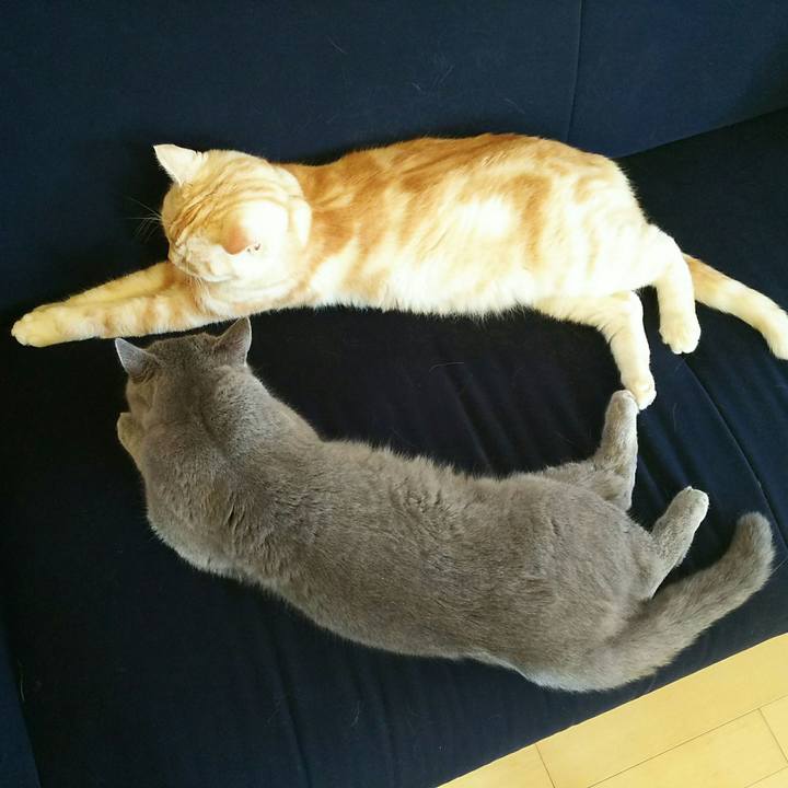 Ec4056a8 3e7e 44de af3c 99a9820989cc