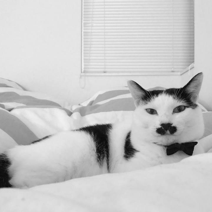 Ec408a9f a995 46eb 9c2b 78d5b3123547