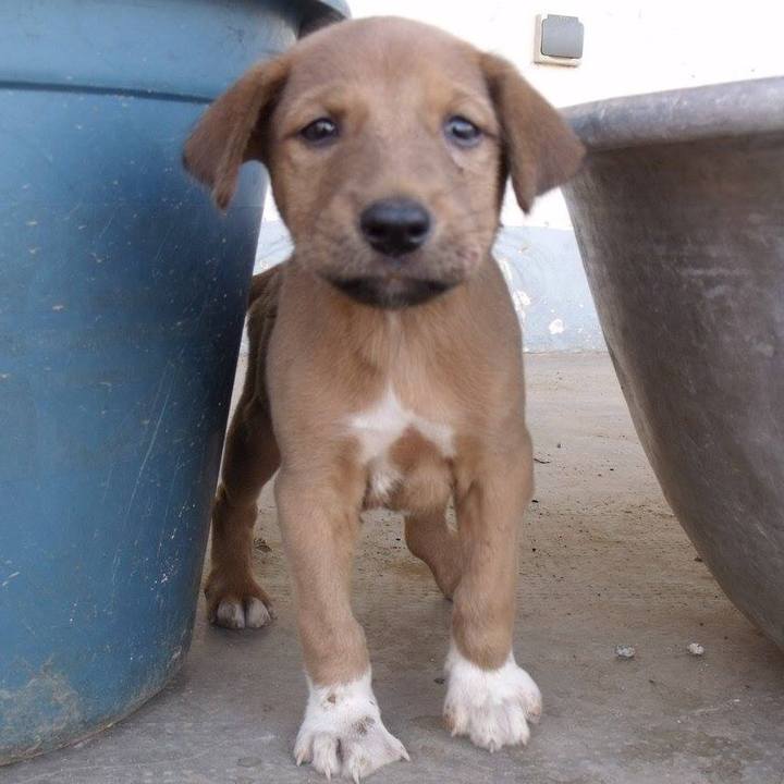 Ec409ff5 c8da 4657 8883 c189803d4f00