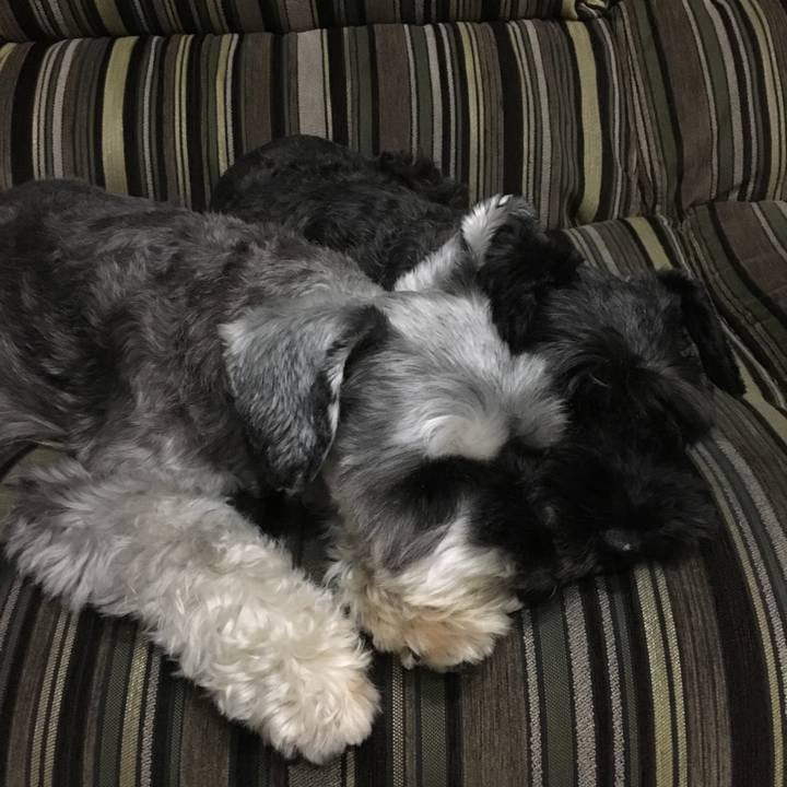 Ec40abcb e1f6 4fd4 bb70 39b3fd961167