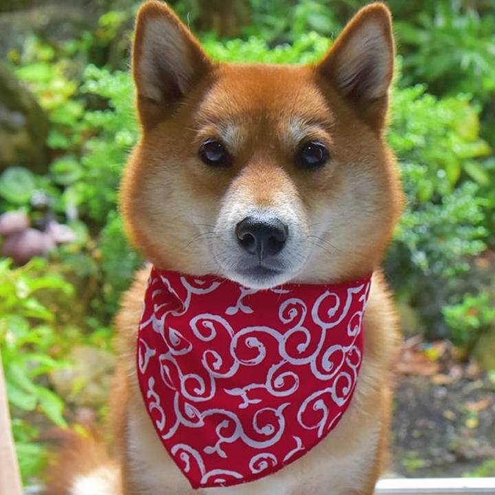 Ec410e37 26a7 49a3 97c2 877b53713c5c