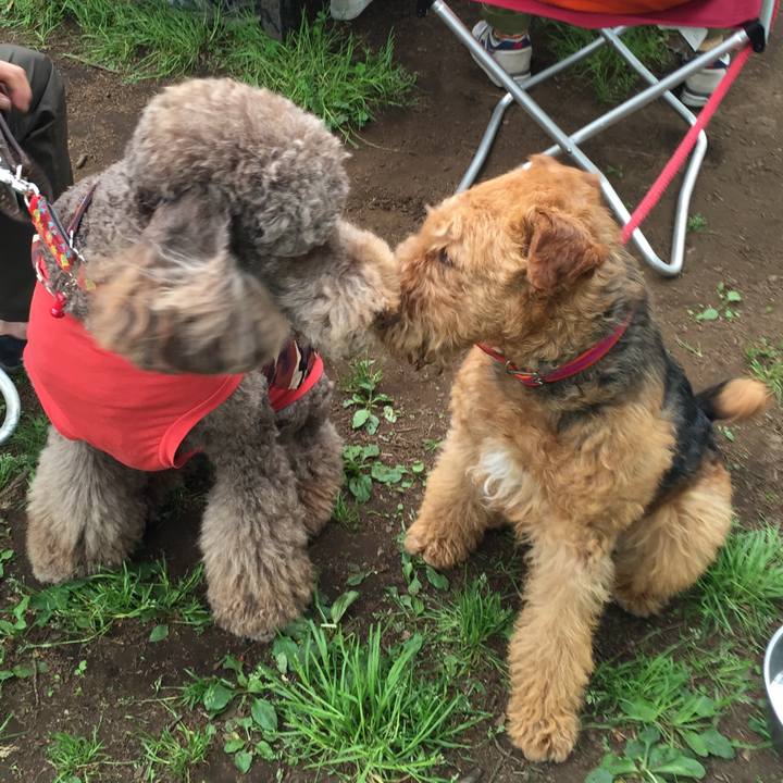 Ec423c2d e1f9 4c06 a26b 7ea2225a230e