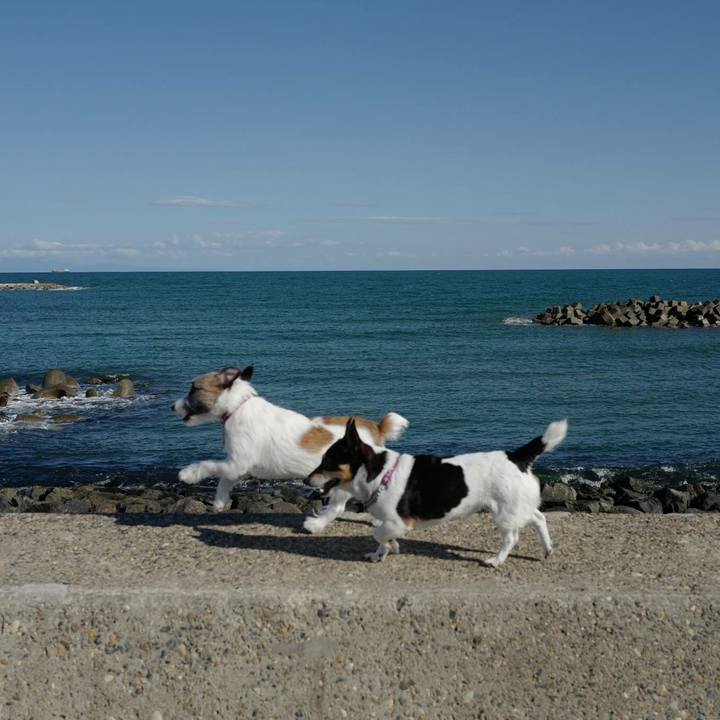 Ec428381 eb82 454d 97b6 d1f113b98837