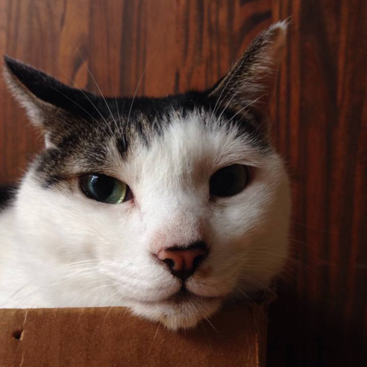 Ec429b41 29de 4171 b04f 1b4fb79743de