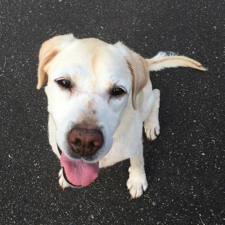 Ec42a559 8b1e 4dab a7e3 16439b0511b6