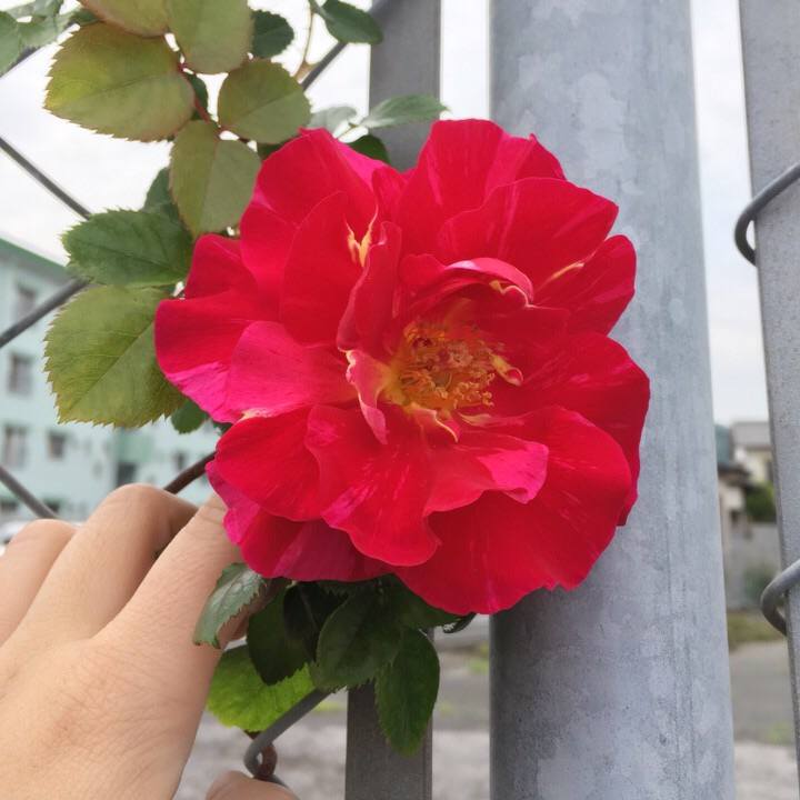 Ec42e719 8250 4ce3 b467 7a1698253d7d