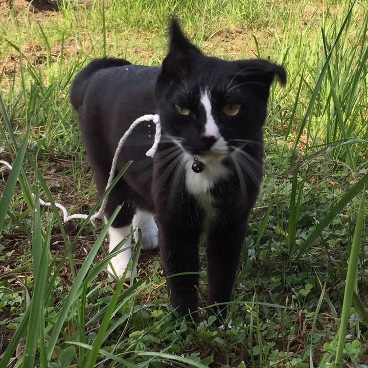 Ec439d2d 0e55 4723 97e9 f9b05afe81ee