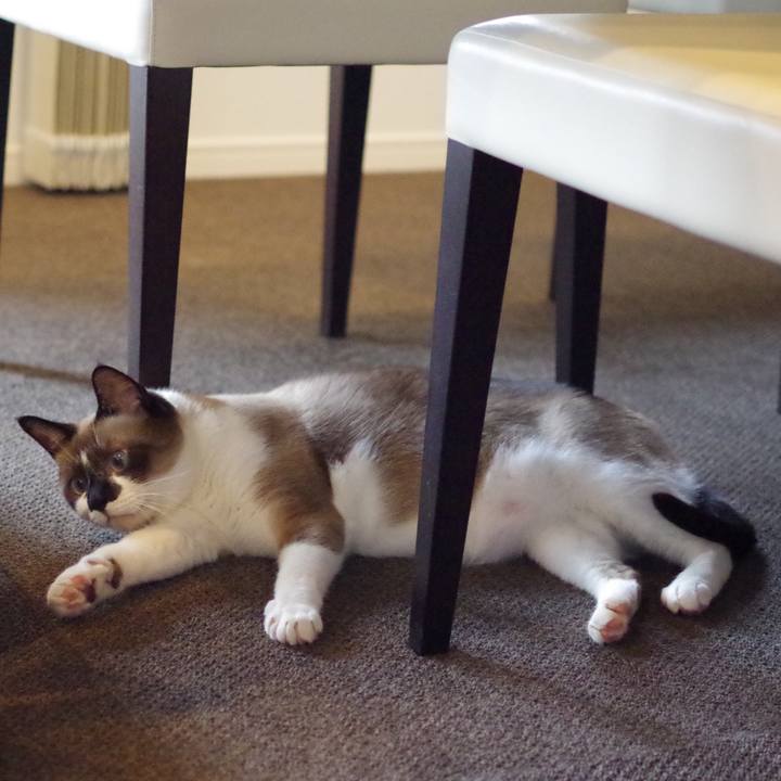 Ec43b36c 2277 4c77 bcfb 769d094d90b7